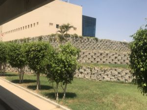 حورس للادوية